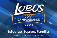 Lona Estacionamiento Grande